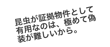 昆虫が証拠物件として有用なのは、極めて偽装が難しいから。