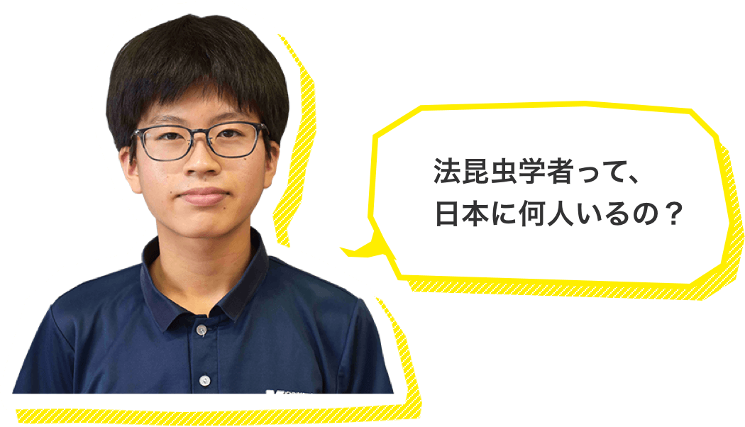 法昆虫学者って、日本に何人いるの?