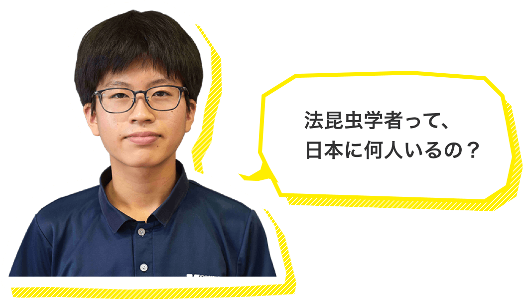 法昆虫学者って、日本に何人いるの？