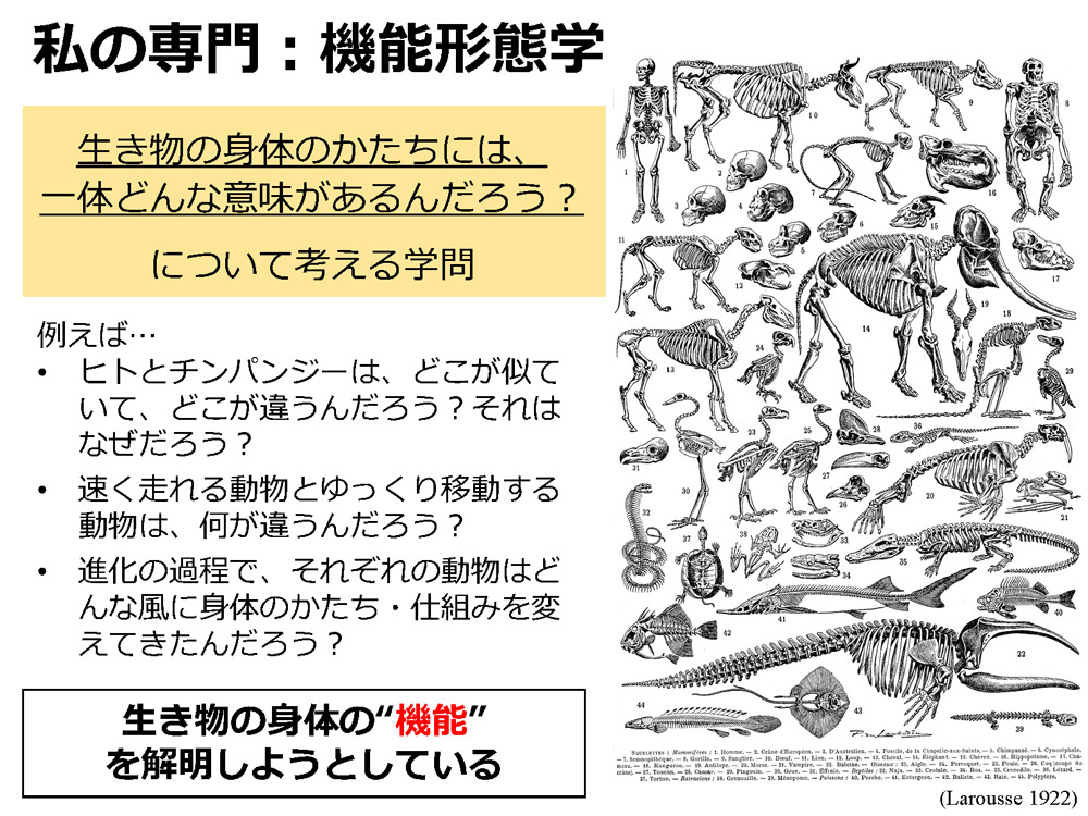 第14回 中高校生が第一線の研究者を訪問 これから研究の話をしよう 中高生と いのちの不思議 を考える 生命科学dokidoki研究室