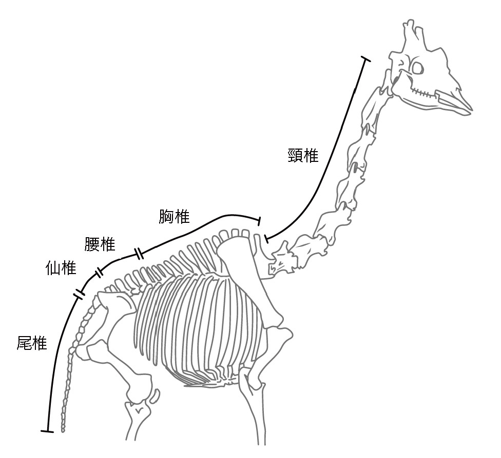 第14回 中高校生が第一線の研究者を訪問 これから研究の話をしよう 中高生と いのちの不思議 を考える 生命科学dokidoki研究室