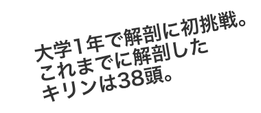 大学1年で解剖に初挑戦。これまでに解剖したキリンは38頭。