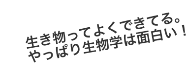 生き物ってよくできてる。やっぱり生物学は面白い！