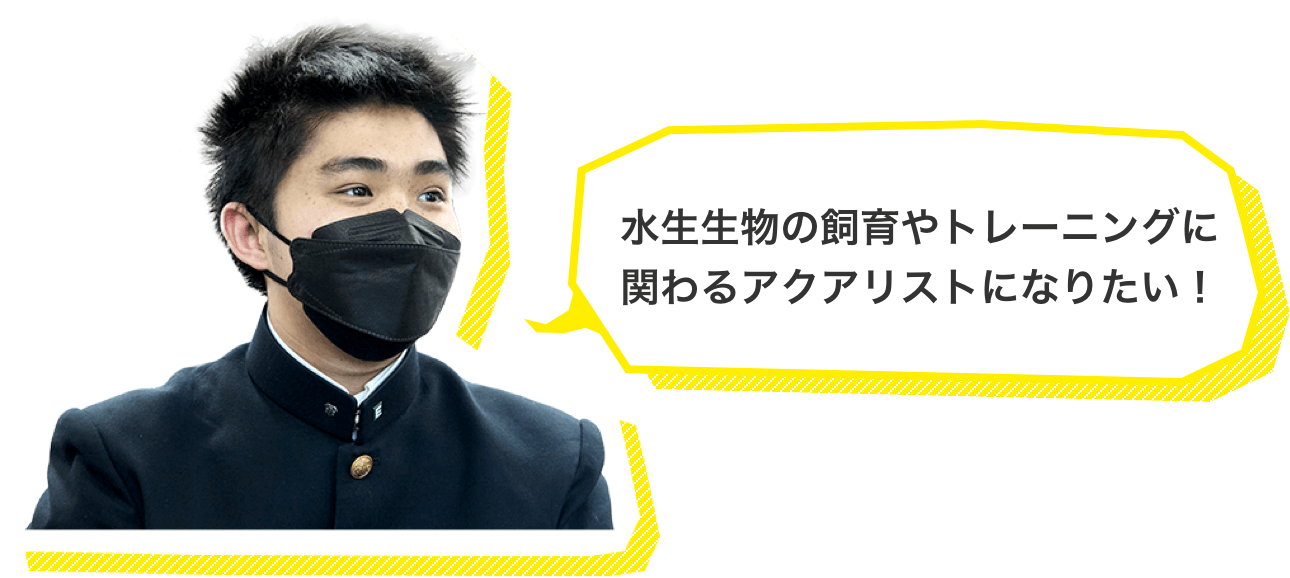 水生生物の飼育やトレーニングに関わるアクアリストになりたい！