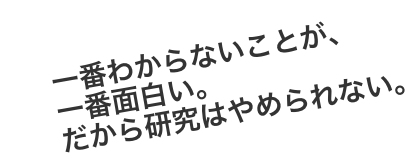 一番わからないことが、一番面白い。だから研究はやめられない。