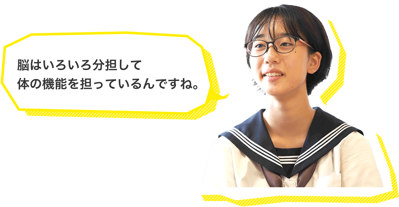 脳はいろいろ分担して体の機能を担っているんですね。