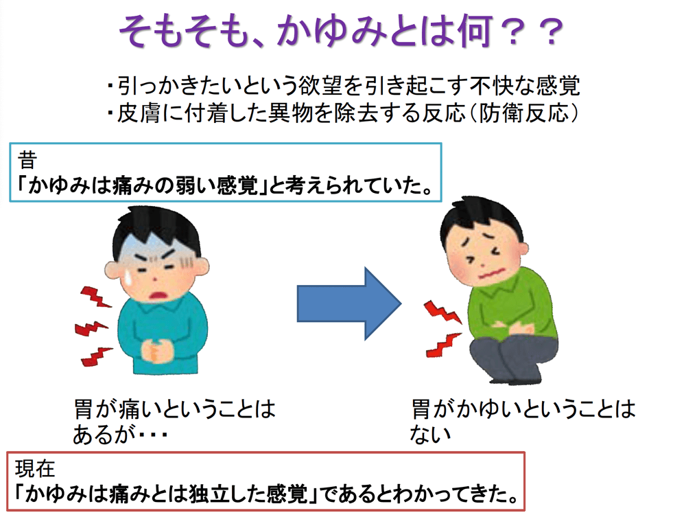そもそも、かゆみとは何??