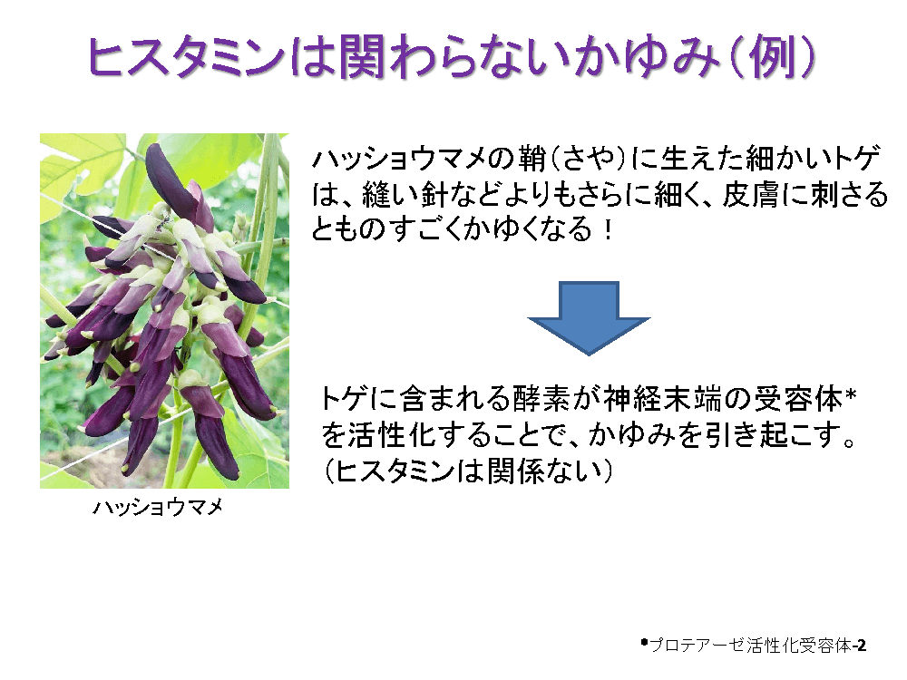 ヒスタミンは関わらないかゆみ(例)