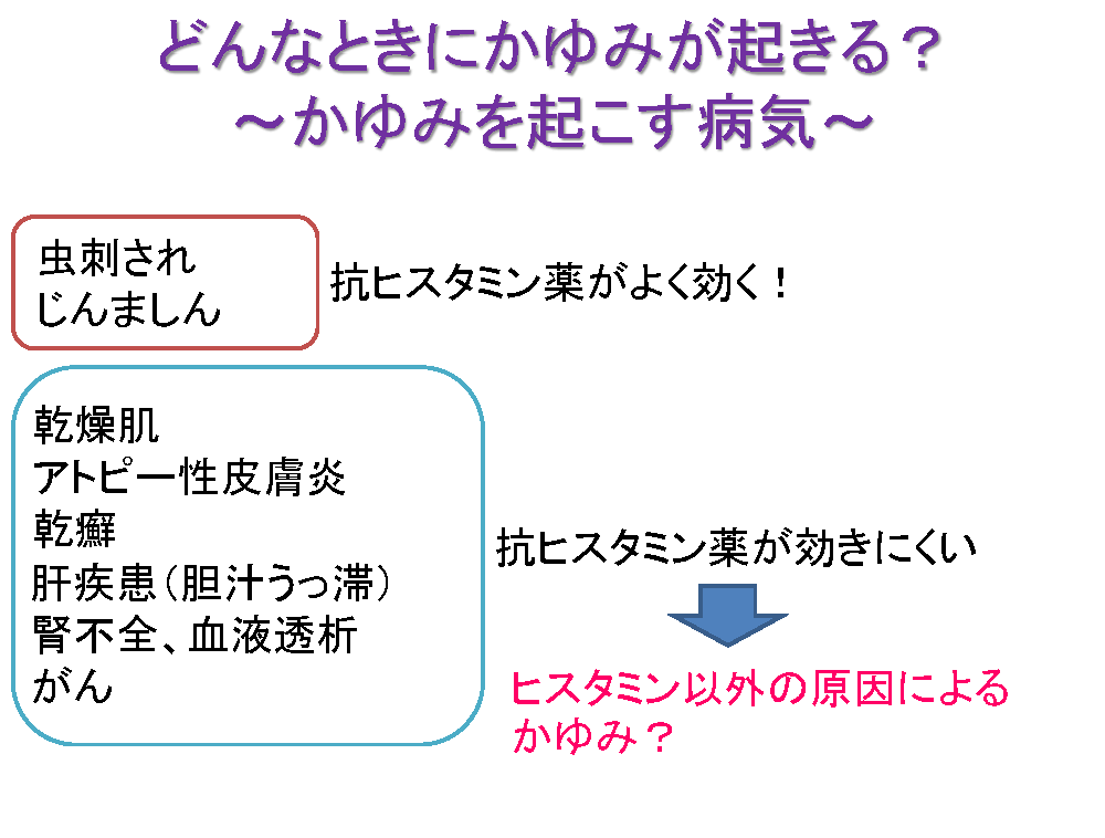 どんなときにかゆみが起きる？〜かゆみを起こす病気〜