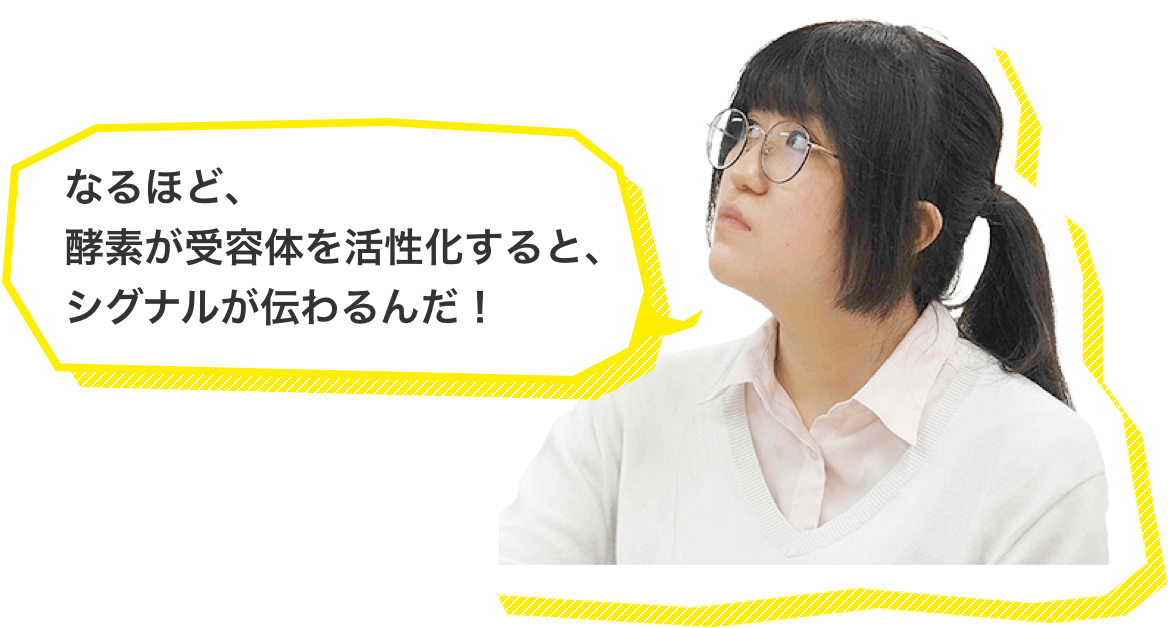 なるほど、酵素が受容体を活性化すると、シグナルが伝わるんだ！