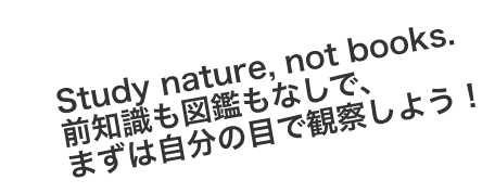 Study nature, not books.前知識も図鑑もなしで、まずは自分の目で観察しよう！