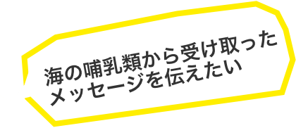 海の哺乳類から受け取ったメッセージを伝えたい