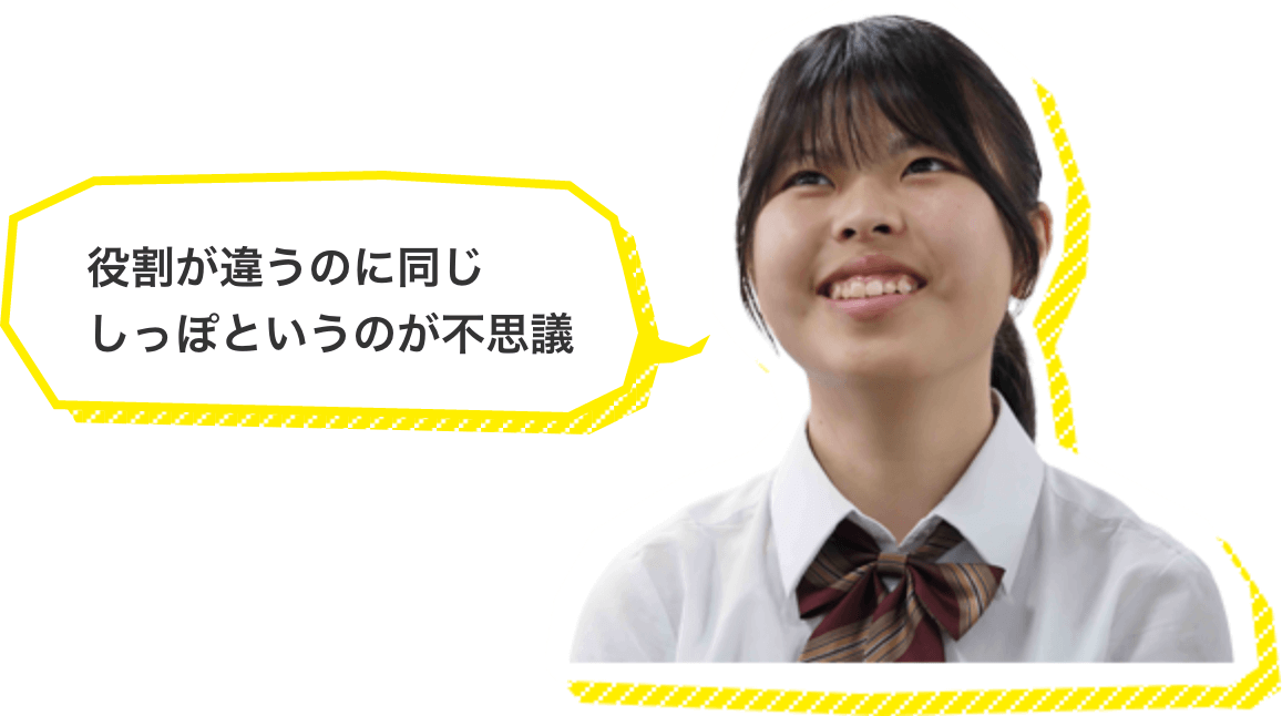役割が違うのに同じしっぽというのが不思議