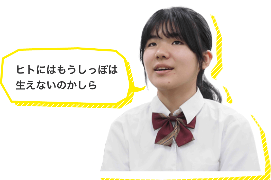 ヒトにはもうしっぽは生えないのかしら