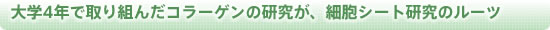 大学4年で取り組んだコラーゲンの研究が、細胞シート研究のルーツ