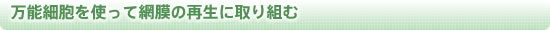 万能細胞を使って網膜の再生に取り組む