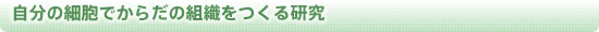 自分の細胞でからだの組織をつくる研究