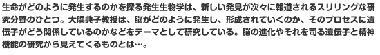 生命がどのように発生するのかを探る発生生物学は、新しい発見が次々に報道されるスリリングな研究分野のひとつ。大隅典子教授は、脳がどのように発生し、形成されていくのか、そのプロセスに遺伝子がどう関係しているのかなどをテーマとして研究している。脳の進化やそれを司る遺伝子と精神機能の研究から見えてくるものとは…。