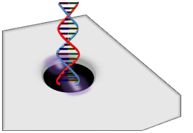 DNAの解析装置
