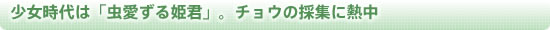 少女時代は「虫愛ずる姫君」。チョウの採集に熱中