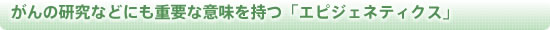 がんの研究などにも重要な意味を持つ「エピジェネティクス」