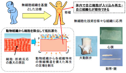 無細胞技術の概要