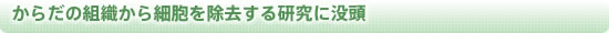 からだの組織から細胞を除去する研究に没頭