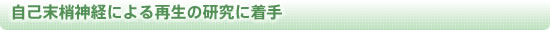 自己末梢神経による再生の研究に着手