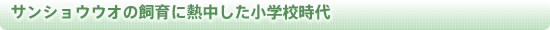 サンショウウオの飼育に熱中した小学校時代