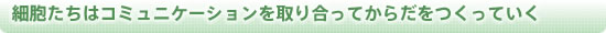 細胞たちはコミュニケーションを取り合ってからだをつくっていく