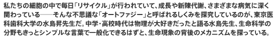 私たちの細胞の中で毎日「リサイクル」が行われていて、成長や新陳代謝、さまざまな病気に深く関わっている──そんな不思議な「オートファジー」と呼ばれるしくみを探究しているのが、東京医科歯科大学の水島昇先生だ。中学・高校時代は物理が大好きだったと語る水島先生、生命科学の分野もきっとシンプルな言葉で一般化できるはずと、生命現象の背後のメカニズムを探っている。