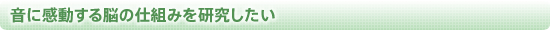 音に感動する脳の仕組みを研究したい