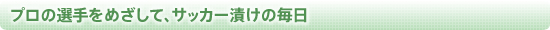 プロの選手をめざして、サッカー漬けの毎日
