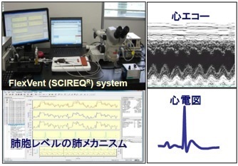 ARDS患者が幾で治療を受ける様子をマウスで再現した「マウスICUモデルシステム」