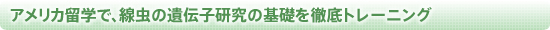 アメリカ留学で、線虫の遺伝子研究の基礎を徹底トレーニング