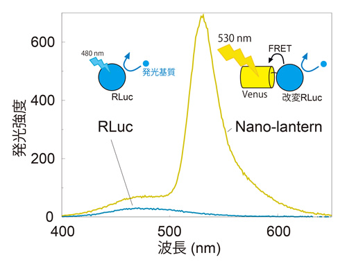 ナノランタンの構造と発光スペクトル