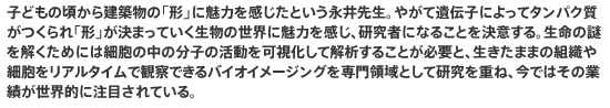 子どもの頃から建築物の「形」に魅力を感じたという永井先生。やがて遺伝子によってタンパク質がつくられ「形」が決まっていく生物の世界に魅力を感じ、研究者になることを決意する。生命の謎を解くためには細胞の中の分子の活動を可視化して解析することが必要と、生きたままの組織や細胞をリアルタイムで観察できるバイオイメージングを専門領域として研究を重ね、今ではその業績が世界的に注目されている。