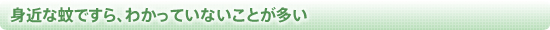 身近な蚊ですら、わかっていないことが多い