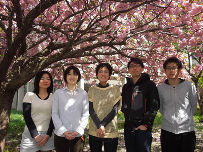 三浦研 2015年集合写真。北大医学部前の満開の八重桜の下で