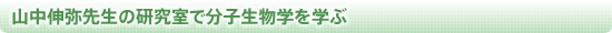 山中伸弥先生の研究室で分子生物学を学ぶ