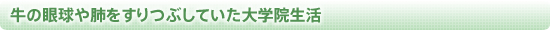 牛の眼球や肺をすりつぶしていた大学院生活