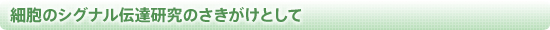 細胞のシグナル伝達研究のさきがけとして