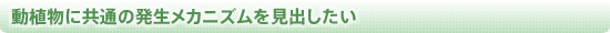 動植物に共通の発生メカニズムを見出したい