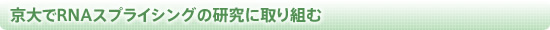 京大でRNAスプライシングの研究に取り組む