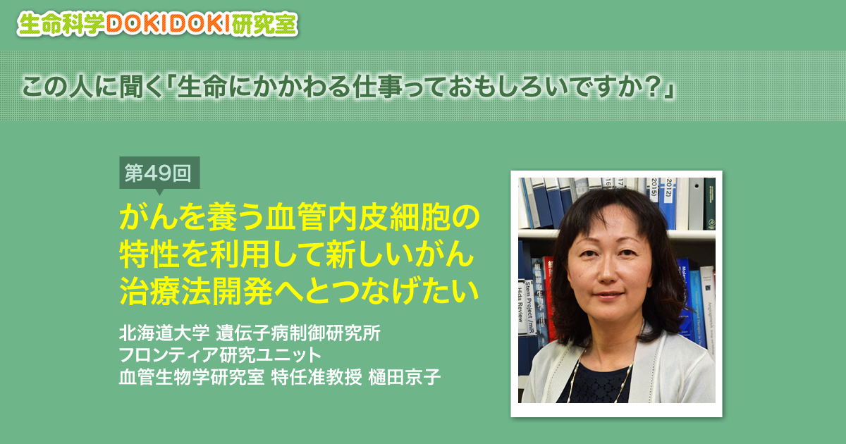 癌と血管新生の分子生物学 (The Frontiers in Medical Sciences) 癌と血管新生の分子生物学 | 渋谷 正史 |本 | 通販 |