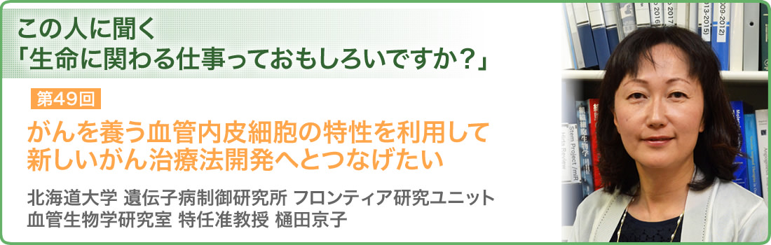 第49回 がんを養う血管内皮細胞の特性を利用して新しいがん治療法開発へとつなげたい 北海道大学 遺伝子病制御研究所 フロンティア研究ユニット 血管生物学研究室 特任准教授 樋田京子