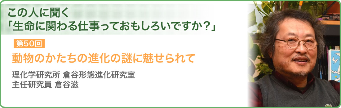 第50回 動物のかたちの進化の謎に魅せられて 理化学研究所 倉谷形態進化研究室 主任研究員 倉谷滋