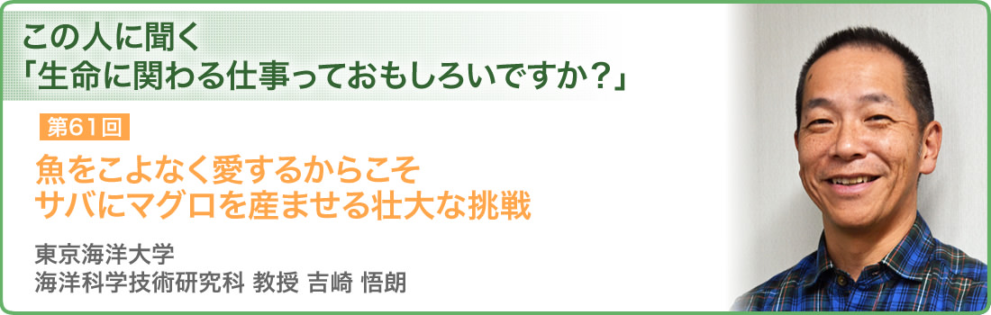 第61回 魚をこよなく愛するからこそサバにマグロを産ませる壮大な挑戦 東京海洋大学 海洋科学技術研究科 教授　吉崎 悟朗