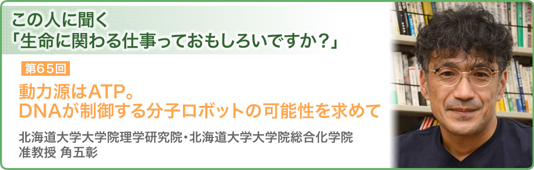 動力源はATP。DNAが制御する分子ロボットの可能性を求めて　北海道大学大学院理学研究院・北海道大学大学院総合化学院 准教授　角五　彰