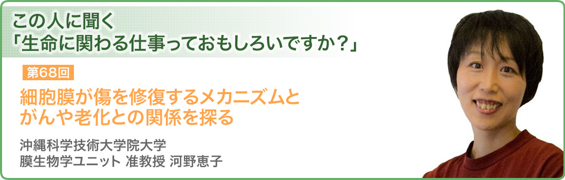 細胞膜が傷を修復するメカニズムとがんや老化との関係を探る 沖縄科学技術大学院大学 膜生物学ユニット 准教授 河野恵子